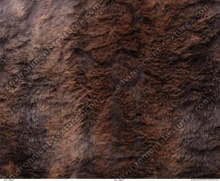 Photo Textures of Fur